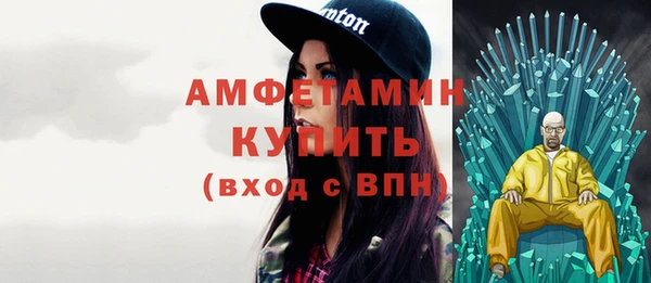 шишки Горнозаводск