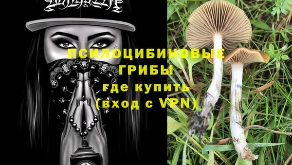 соль курить ск Горняк