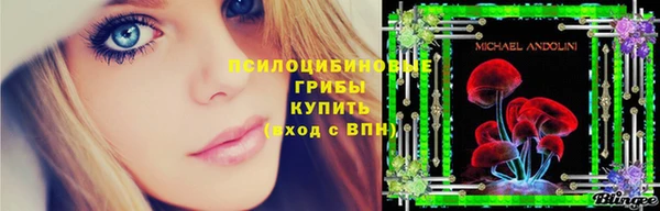соль курить ск Горняк