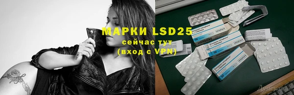 шишки Горнозаводск