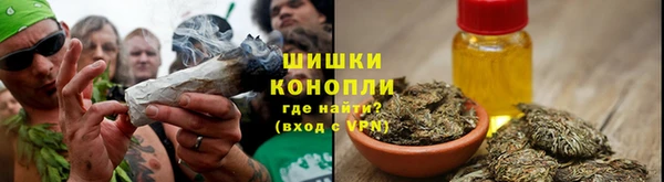 шишки Горнозаводск