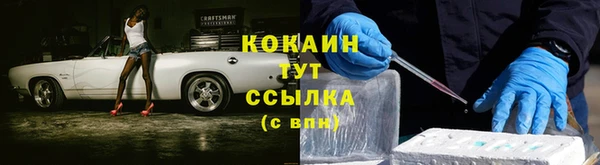 шишки Горнозаводск