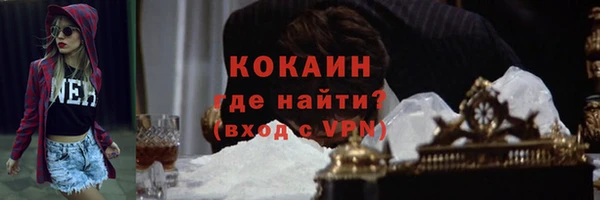 шишки Горнозаводск