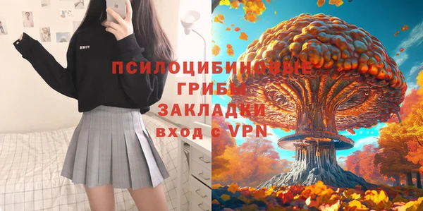 сатива Горно-Алтайск