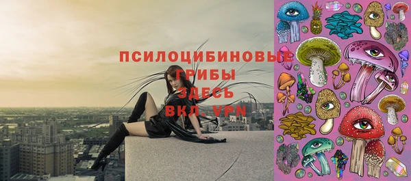 сатива Горно-Алтайск