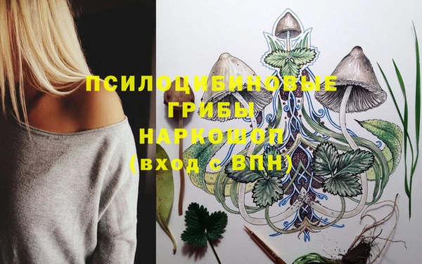 шишки Горнозаводск