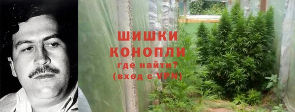сатива Горно-Алтайск